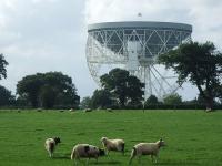 Radiot�lescope