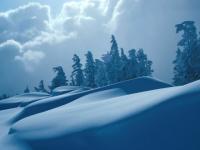 Dunes de neige