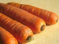 Carottes