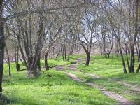 Chemin