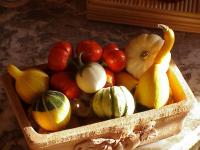 Coloquintes