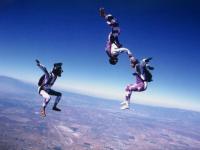 Free fly