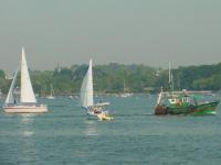 Golfe du Morbihan