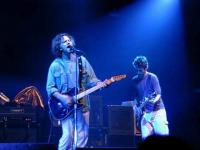 Guitaristes