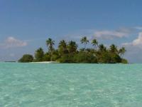 L'île de Maya