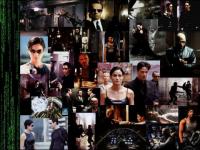 Matrix - 7
