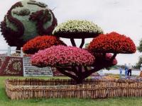 Mosaiculture, Montréal - 4