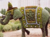 Mosaiculture, Montréal - 5