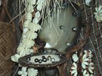 Perles noires