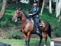Police montée