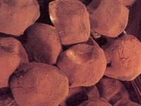 Truffes au chocolat