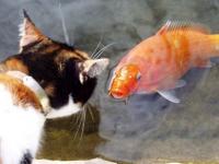 Rencontre