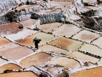 Les salines