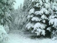 Scène de neige
