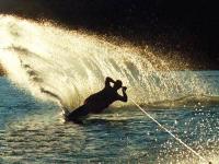 Ski nautique 2