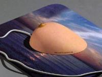 Souris