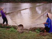 Irrigation