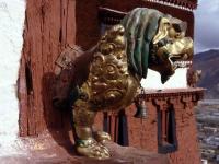 Lion tibétain