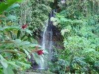Tahiti : Cascade