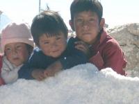 Bolivie : Enfants