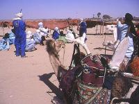Camp touareg