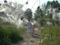 Arrosoirs de brume