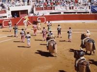 Corrida : Paseo