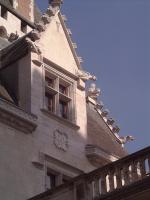 Pau : Gargouilles