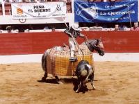 Corrida : Pique