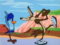 Vil Coyote & Bip Bip