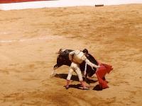 Corrida : Faena