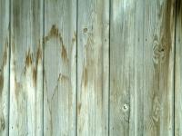 Planches