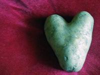Patate de Saint-Gilles
