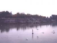 Bassin de Neptune