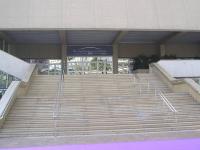 Cannes: Les marches du Palais