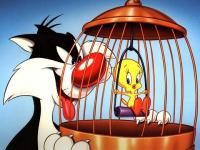 Titi & Gros Minet