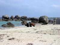 Seul sur la plage