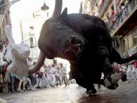 Taureau