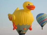 Rubber Duckie, du Wisconsin