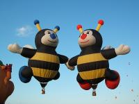 Lilly & Joey, de l'Arizona