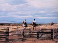 Gauchos