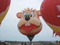 Honey Bear, du Texas