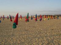 Parasols à Deauville