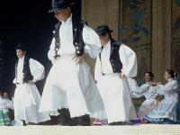 Ens. folklorique hôte #1