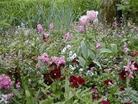 Hymne au printemps