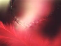 Rouge interstice