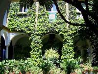 Séville : Patio