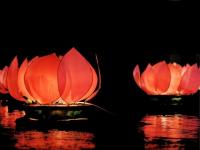 Lanterne lotus