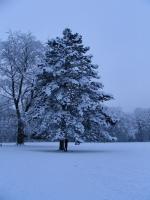 Pourtalès - Le photographe