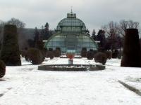 Schönbrunn serre